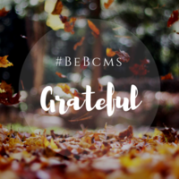 #BeBCMS Community Newsletter