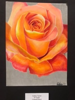 Celebrate the Arts