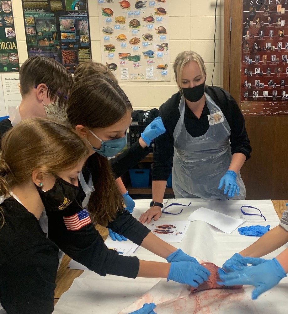 Examining a Heart in ELA Class?