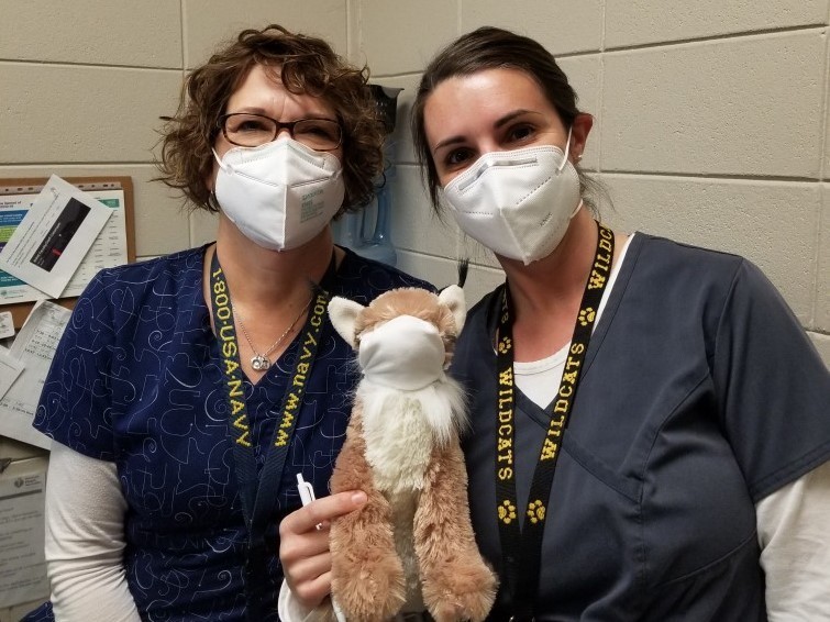 Wildcat Pride: Teacher Edition