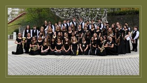 Wildcat Winds