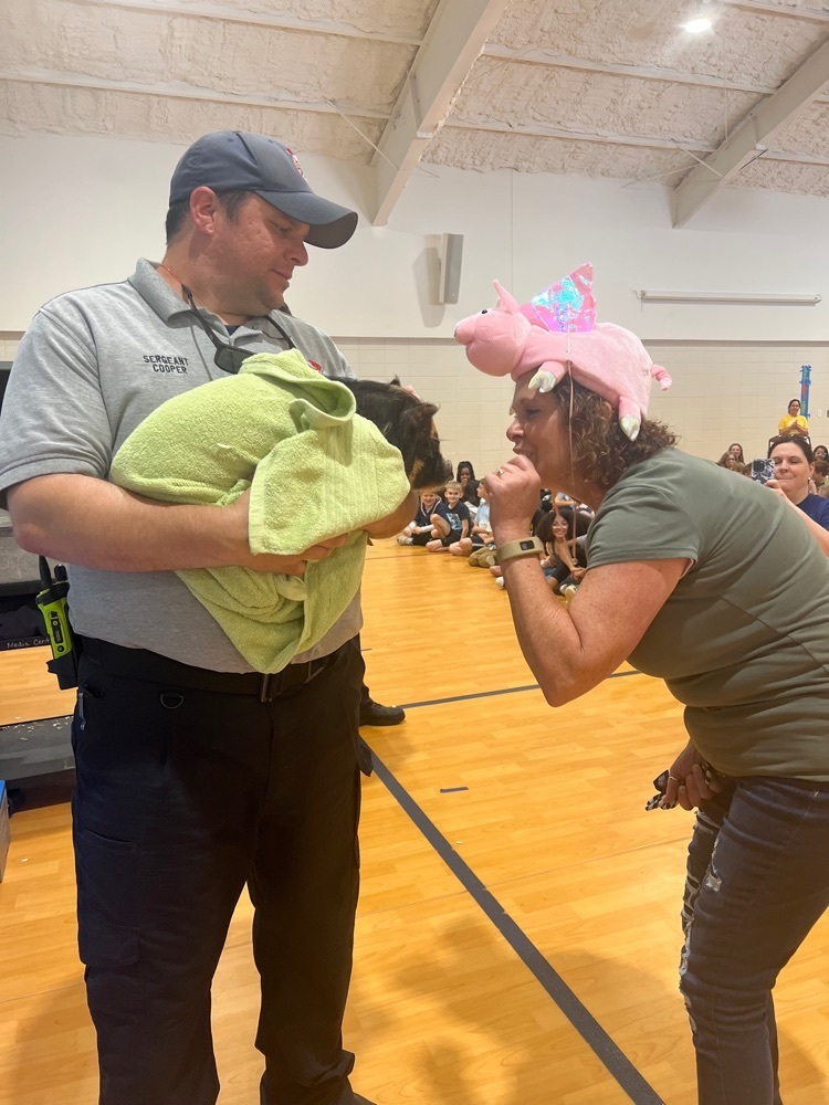kiss a pig assembly 