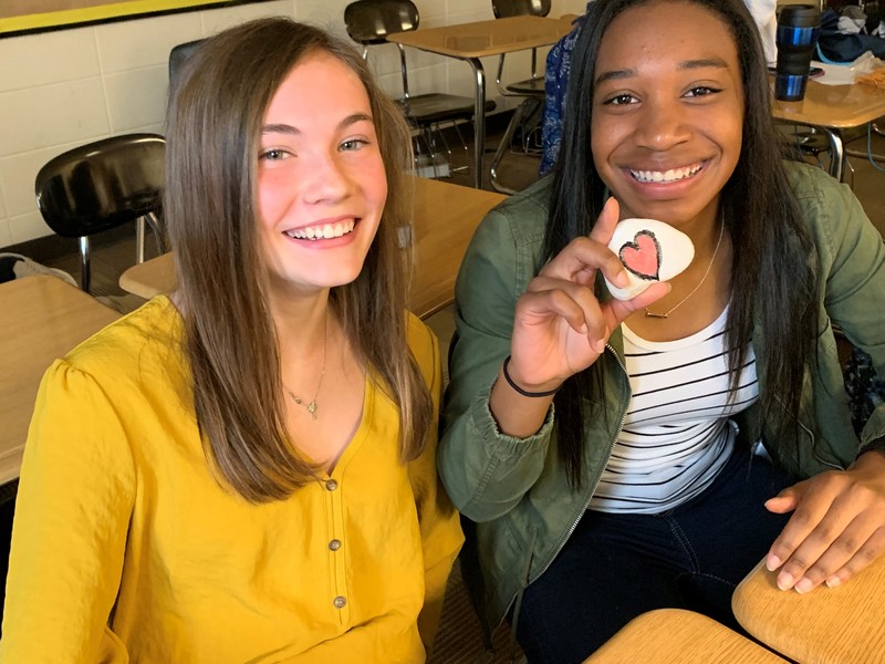 Kindness Rock Project Richmond Hill Middle School